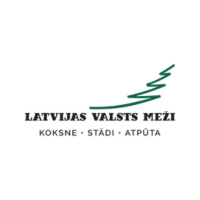 lvm