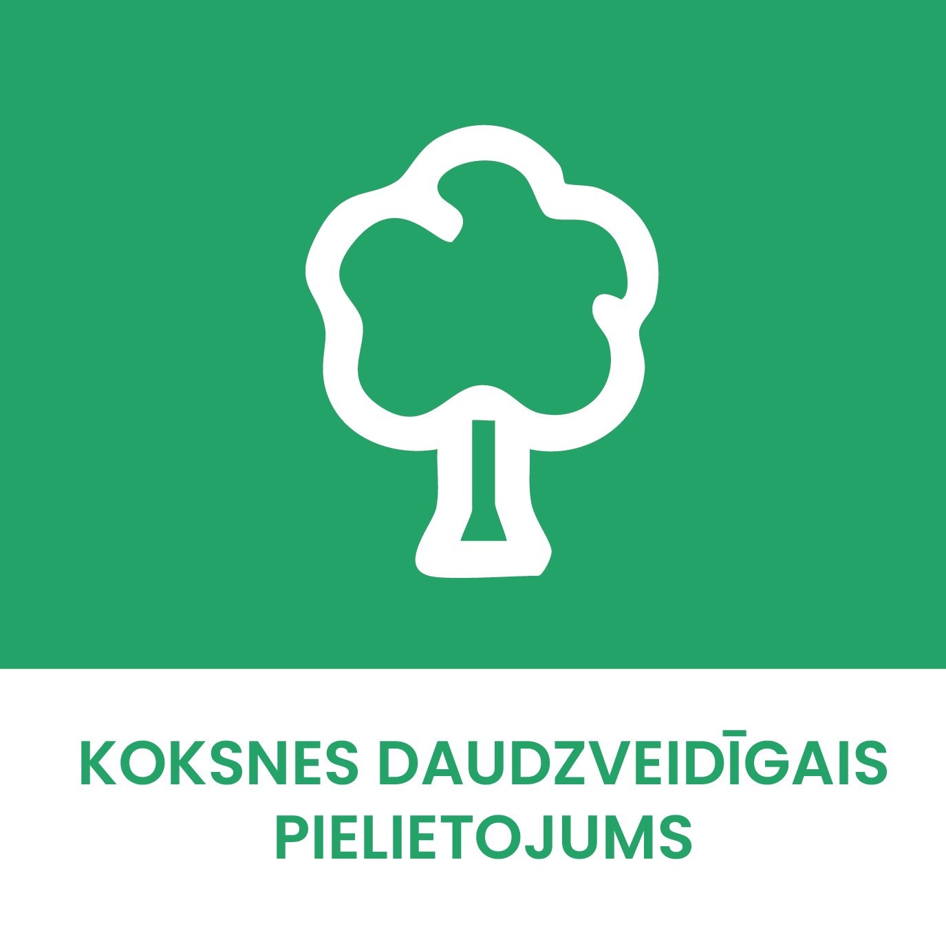 Koksnes daudzveidīgs pielietojums