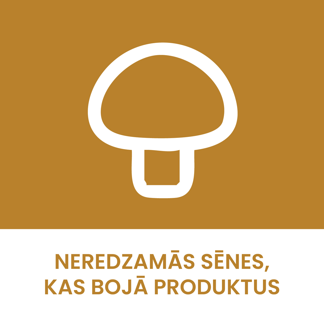 Neredzemās sēnes, kas bojā produktus