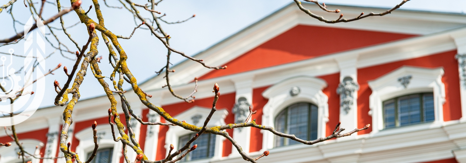 Jelgavas pils fasādes fragments ar sarkani baltu arhitektūru, redzami logi un koku zari priekšplānā.