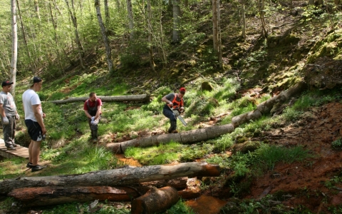VBF studenti sniedz atbalstu “Dāvida dzirnavas” labiekārtošanā