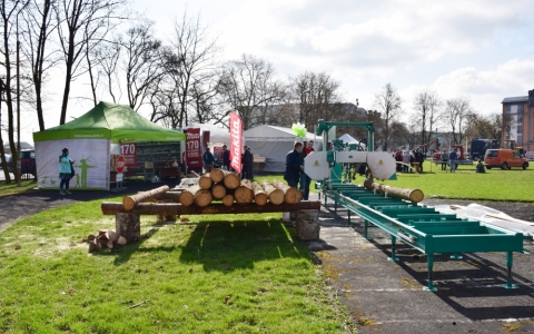 Mežs ienāk Jelgavā