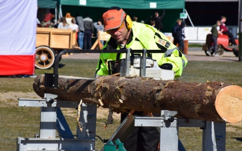 Pasākums "Mežs ienāk Jelgavā"