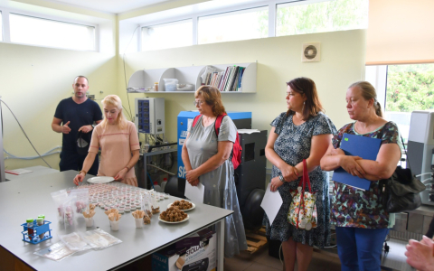 Lauku izmēģinājumu skates
