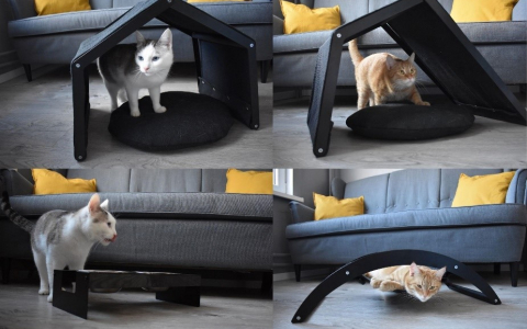 LLU absolvente Monikas Oļehas noslēguma darba fotogrāfijas