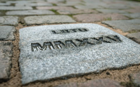 Imatrikulācijas akts