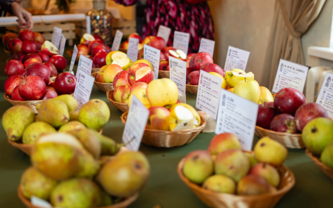 Ražas svētki Vecaucē 2025