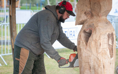 Mežs ienāk Jelgavā 2020