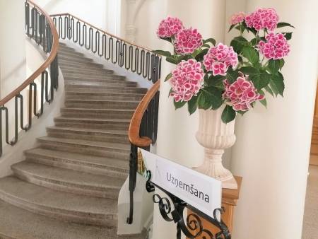 Uzņemšana, studijas, LLU, topošie studenti