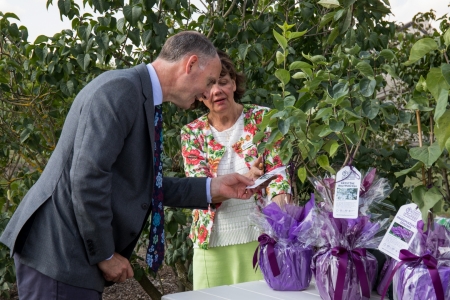 Karaliskā botāniskā dārza (Kew Gardens) pārstāvji
