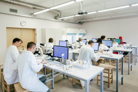 Rudens semestrī LLU piedāvā apgūt atsevišķus studiju kursus kā klausītājiem