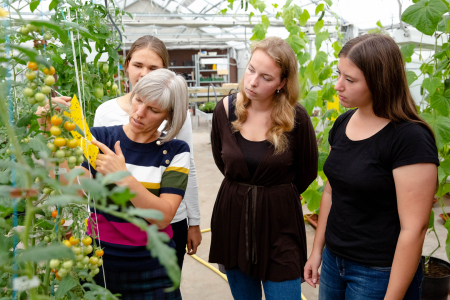 Izglītība bioekonomikā