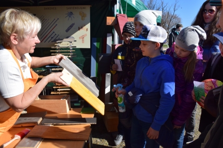 Mežs ienāk Jelgavā, fakultāte, studenti, LLU, pasākums