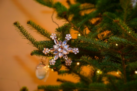 Ziemassvētku laiks LLU