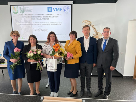 Aizstāvēts promocijas darbs par topinambūra koncentrāta un tā kombinācijas ietekme uz teļu postnatālo attīstību