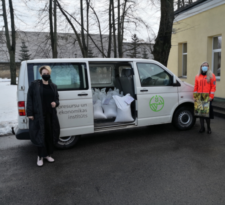 AREI dāvina grūbas