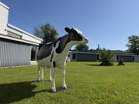 LBTU Veterinārmedicīnas fakultātē atklās Klīnisko prasmju un simulāciju centru