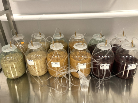 Veselīgi produkti no augļu izspaidām