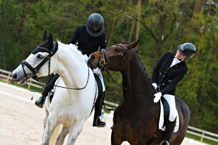 LBTU Zirgkopības mācību centrs "Mušķi" – apmācības LBTU studentiem un ikvienam interesentam 