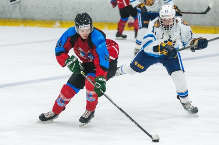 HK "Zemgale/LLU" piedzīvo zaudējumu 