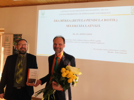 Izstrādāts promocijas darbs par āra bērzu selekciju Latvijā