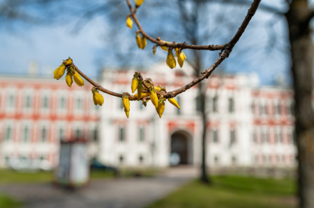 Notiek pieteikšanās Jelgavas valstspilsētas domes balvas konkursam