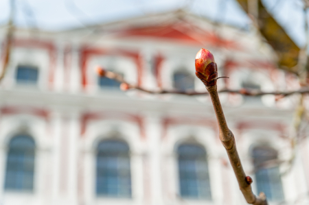 Izsludināts doktorantūras granta pieteikumu konkurss