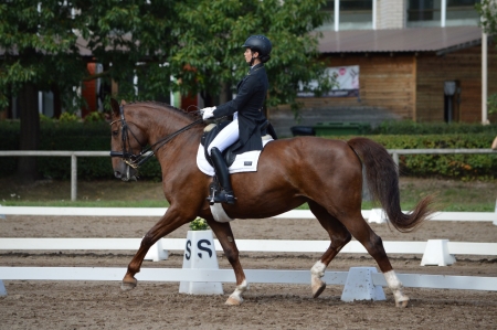 Sporta cetrs "Kleisti"