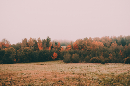 ALTUM balvas konkursam aicina pieteikties jaunos maģistrus un doktorantus
