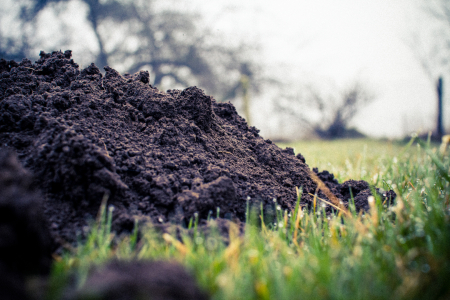 Aicina piedalīties seminārā par Eiropas zaļā kursa iespējām un riskiem 