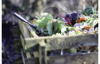 bioloģiski noārdāmo atkritumu pārstrāde