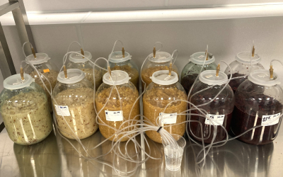 Veselīgi produkti no augļu izspaidām