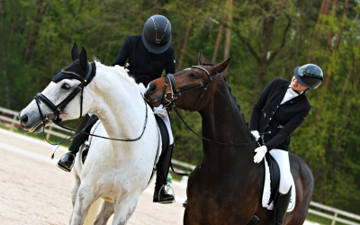 LBTU Zirgkopības mācību centrs "Mušķi" – apmācības LBTU studentiem un ikvienam interesentam 