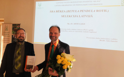 Izstrādāts promocijas darbs par āra bērzu selekciju Latvijā