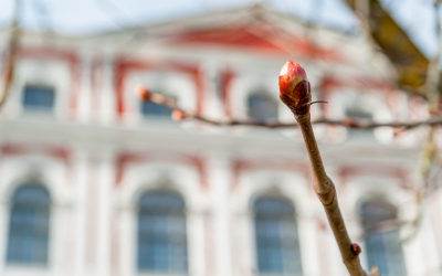 Izsludināts doktorantūras granta pieteikumu konkurss