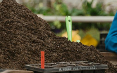 LBTU Researchers Develop Sustainable Solutions for the Transformation of Latvia’s Peat Industry