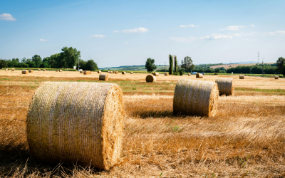 Notiks tiešsaistes seminārs par siltumnīcefekta gāzu emisijām, oglekļa piesaisti, meliorāciju un augsnes veselību Latvijā